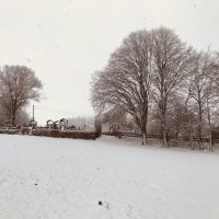 Winterbilder