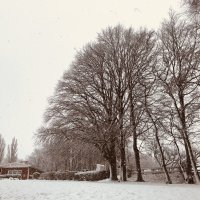 Winterbilder